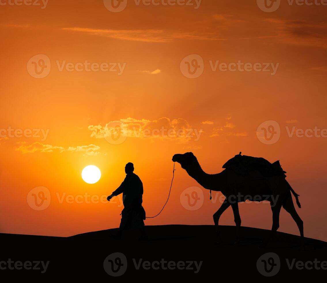 Cameleer camel driver with camels in dunes of Thar desert. Raj photo