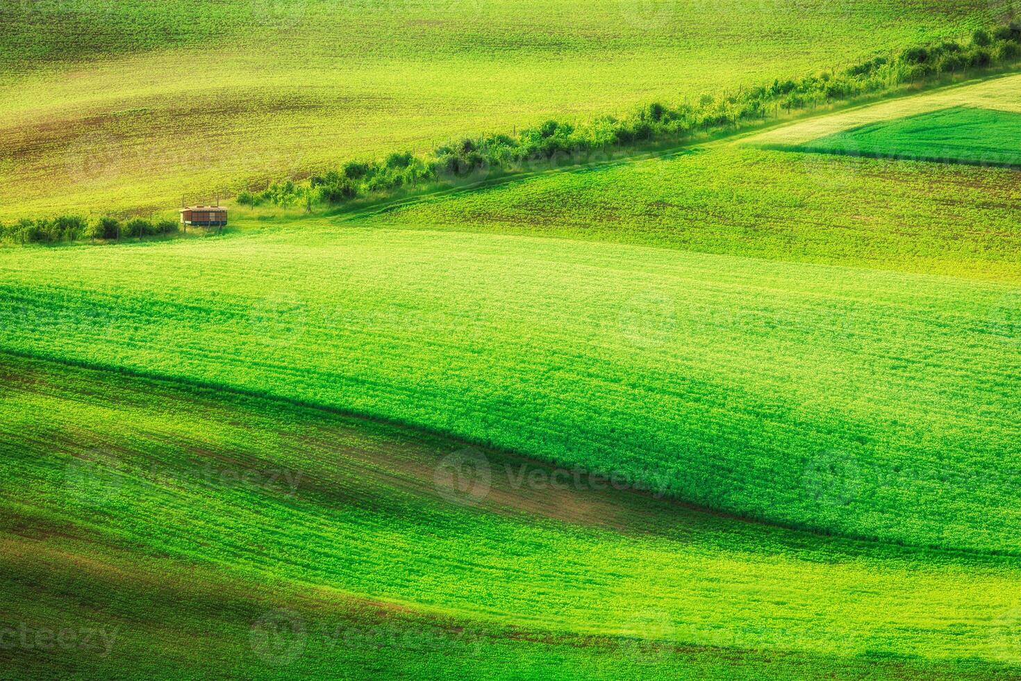 Rolling landscape of South Moravia photo