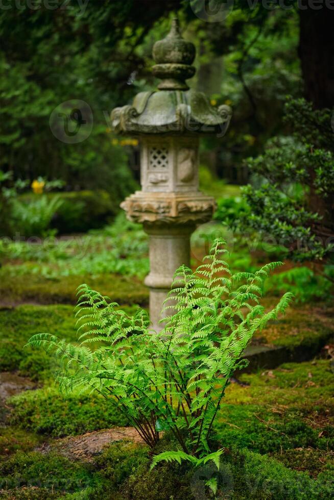 Japanese garden, Park Clingendael, The Hague, Netherlands photo