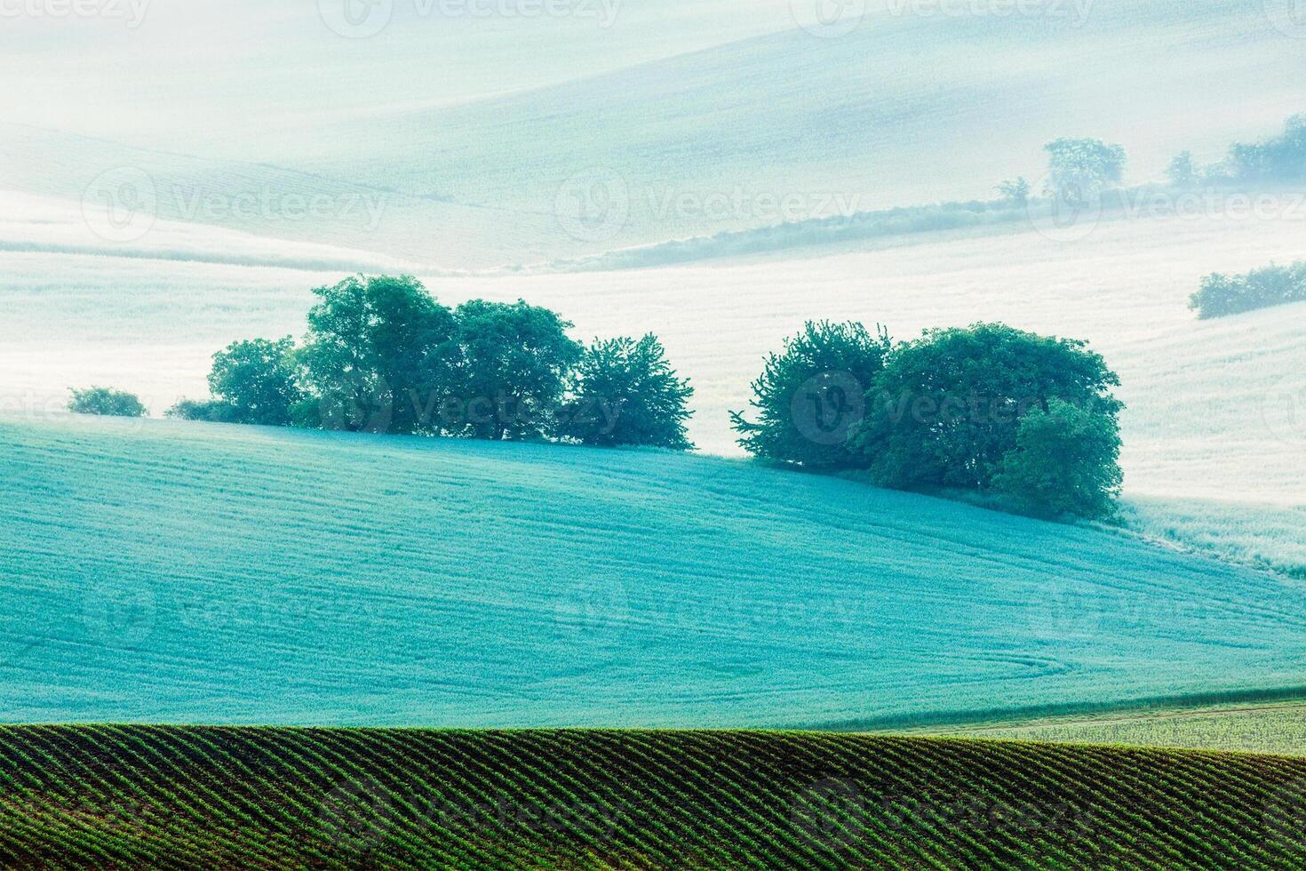 Rolling landscape of South Moravia in the morning photo