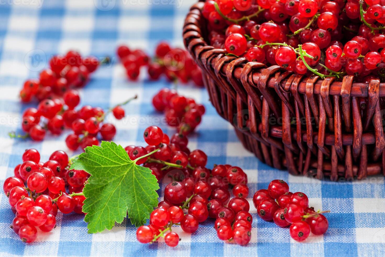 Redcurrant in wicker bowl on the table photo