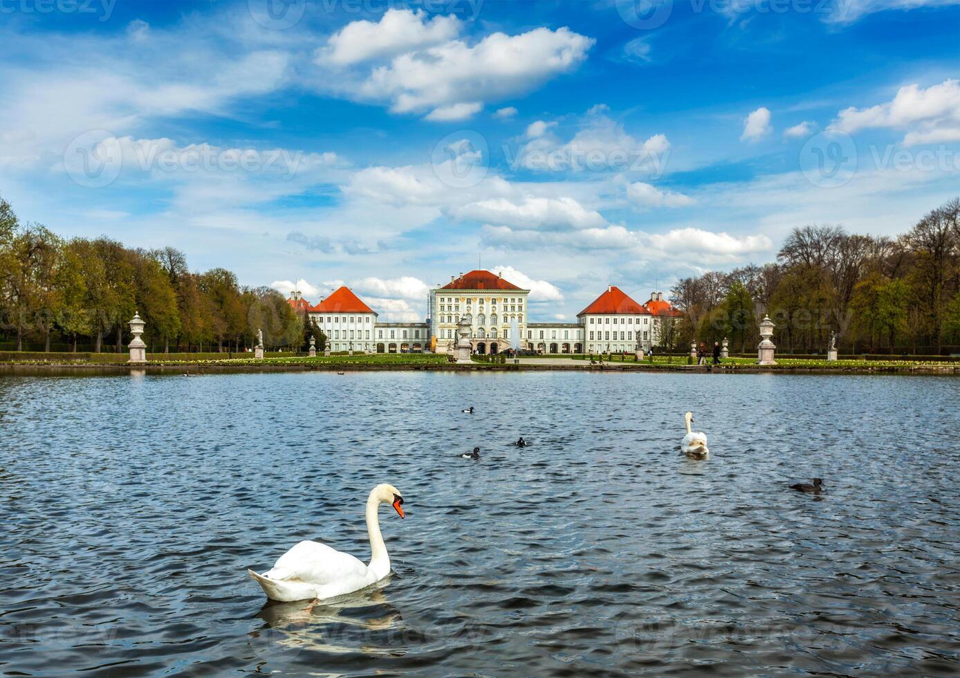 Swan and Nymphenburg Palace. Munich, Bavaria, Germany photo