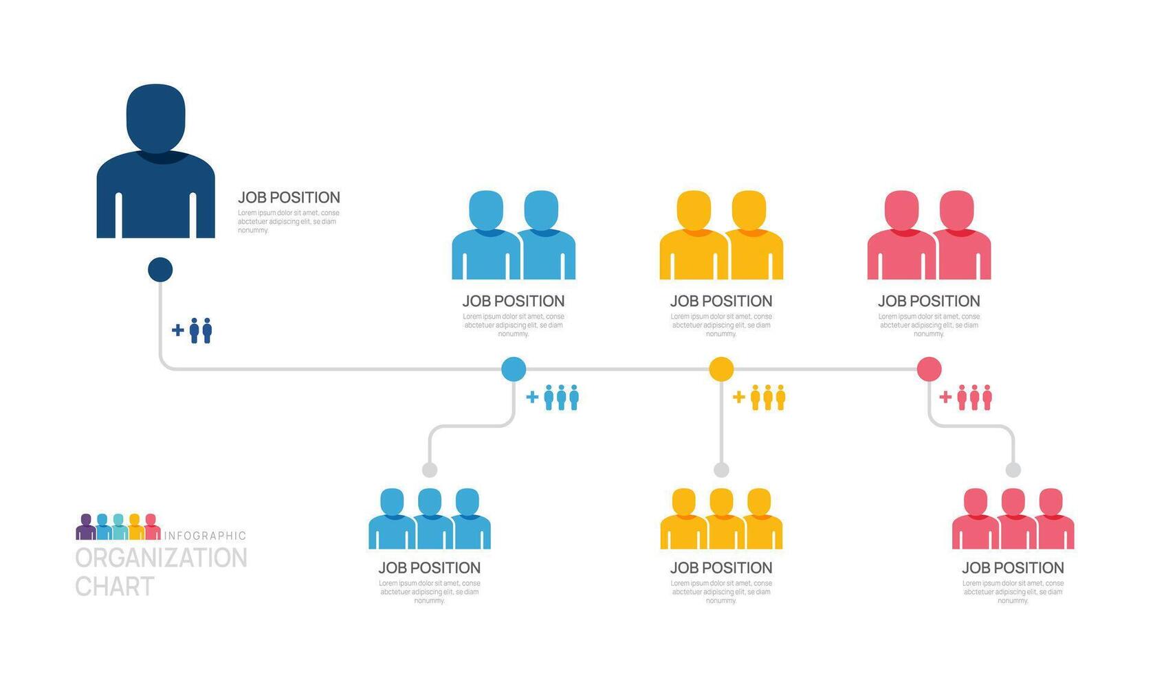 Infographic template for organization chart with business avatar icons. vector infographic for business.