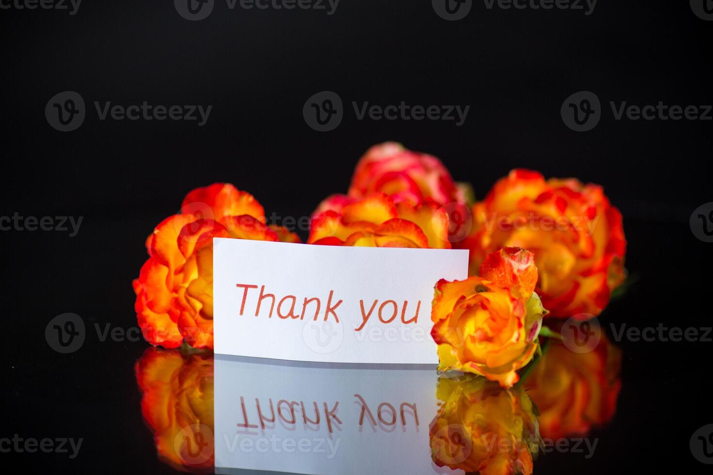 Flowers of beautiful blooming red rose on black background. photo