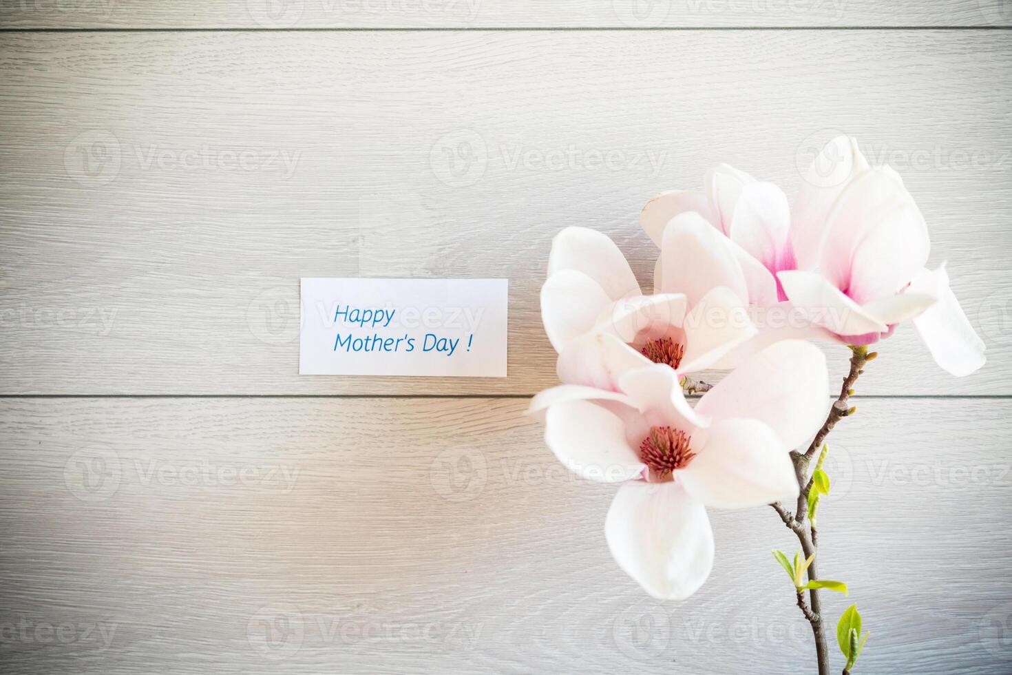 Branch with blooming pink Magnolia flowers on wooden background photo