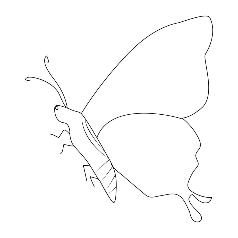 Continuous one line butterfly flying single line outline art drawing illustration vector