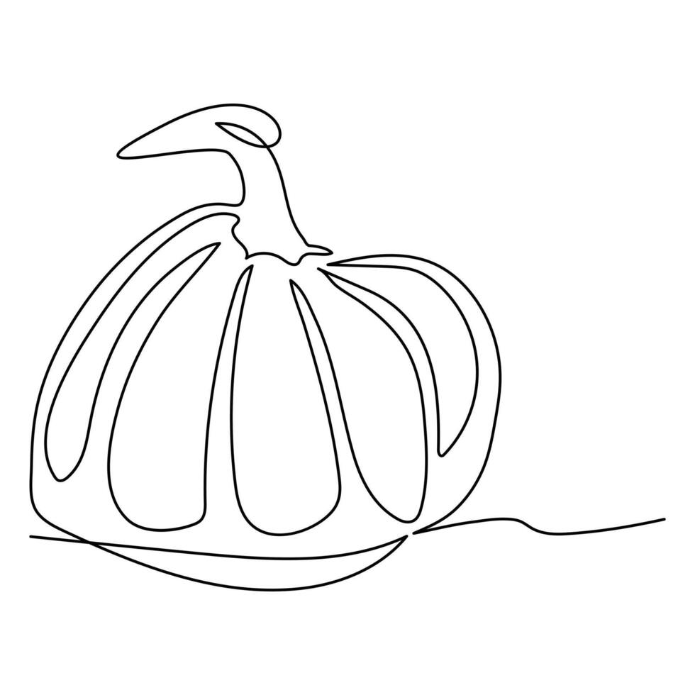 Ripe pumpkin continuous line drawing vector