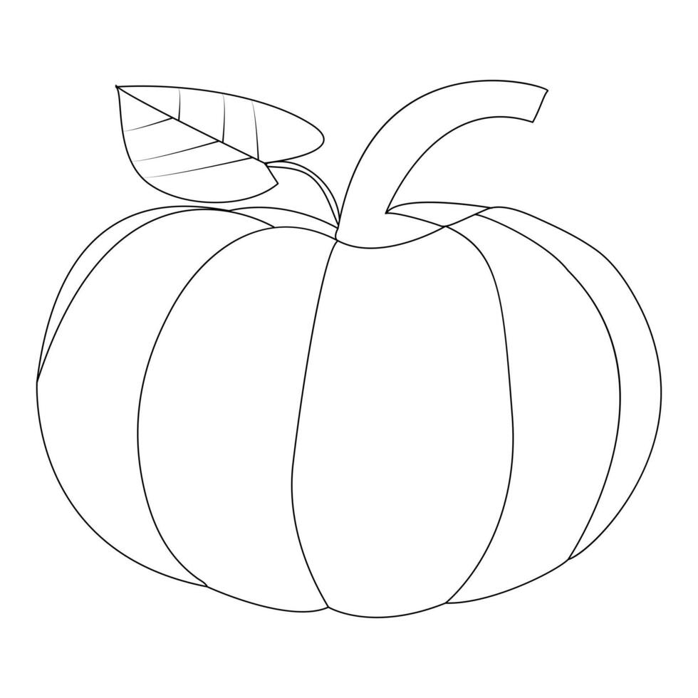 Ripe pumpkin continuous line drawing vector