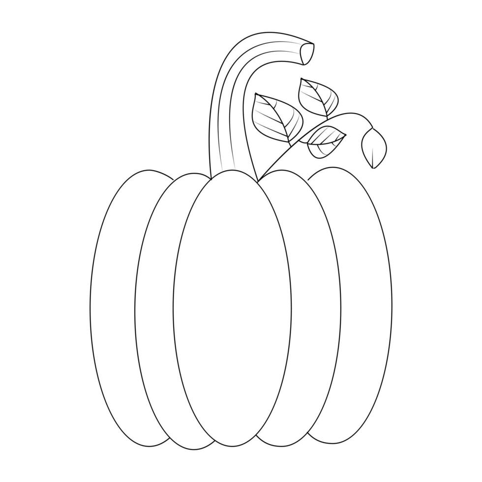 Ripe pumpkin continuous line drawing vector