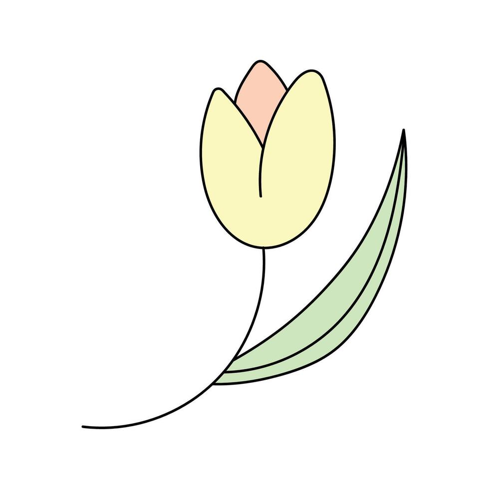 Spring flowers. Vector illustration. Isolated on white background