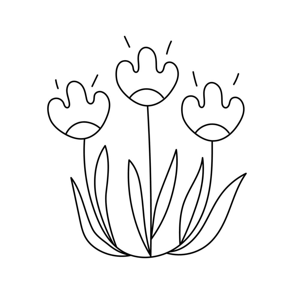 Spring flowers. Vector illustration. Isolated on white background