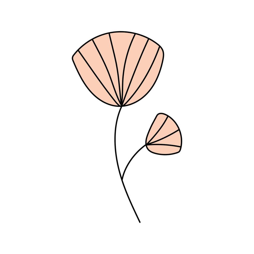Spring flowers. Vector illustration. Isolated on white background