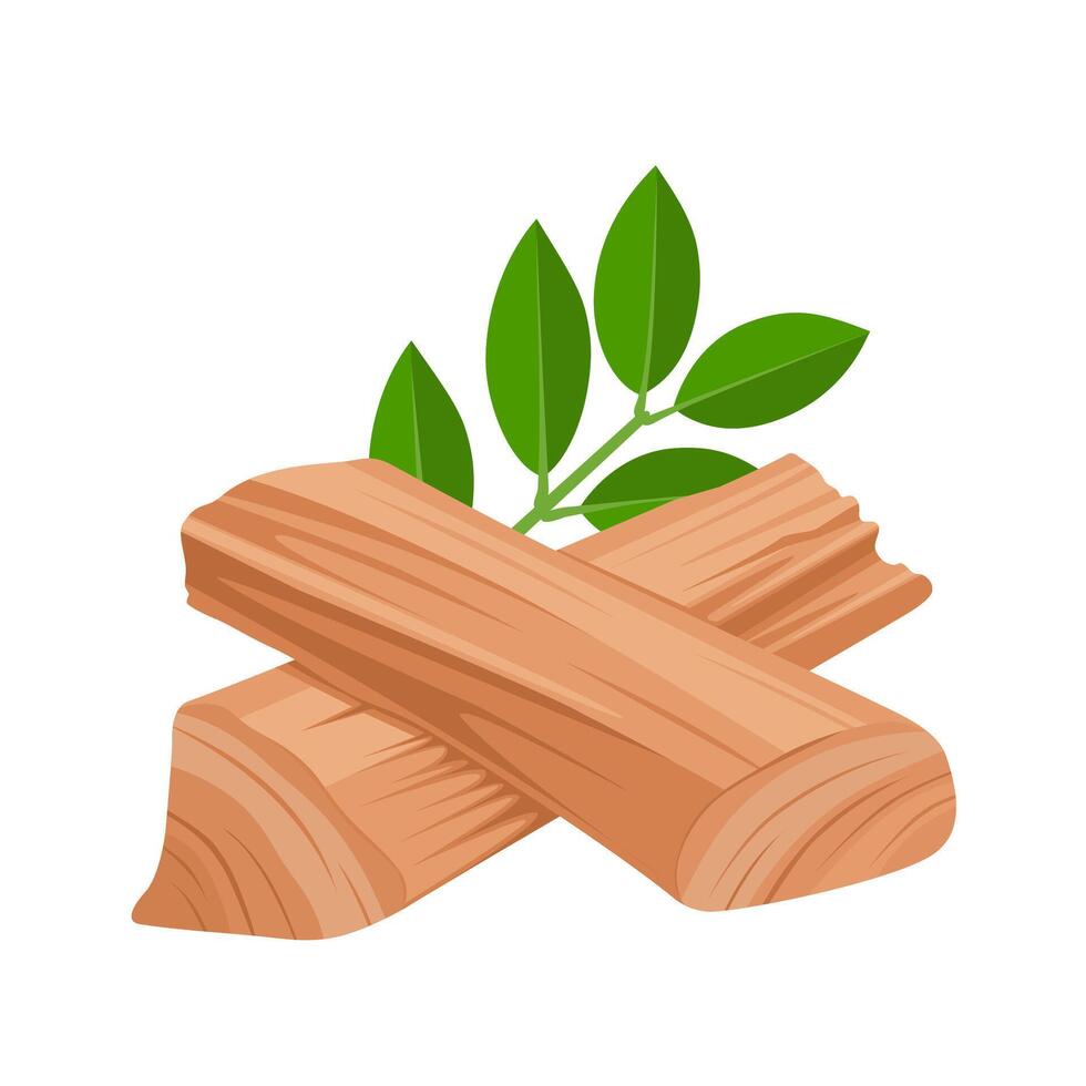Vector illustration, sandalwood with green leaves, isolated on white background.