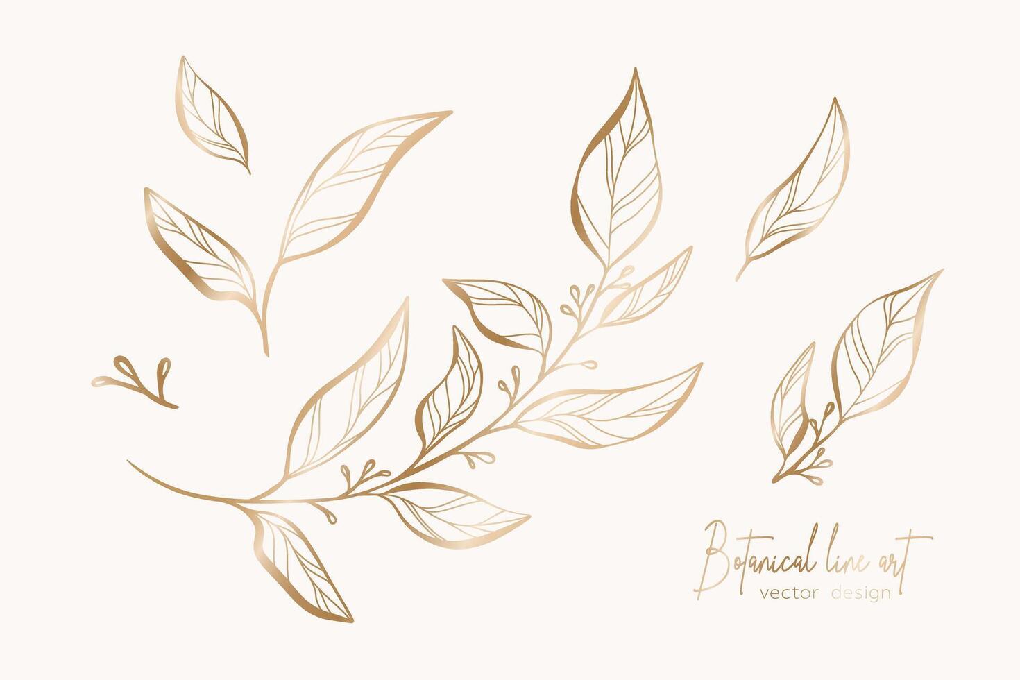 Botanical elegant gold line art illustration of flower leaves branch for wedding invitation and cards, logo design, web, social media and poster, template, advertisement, beauty and cosmetic industry. vector