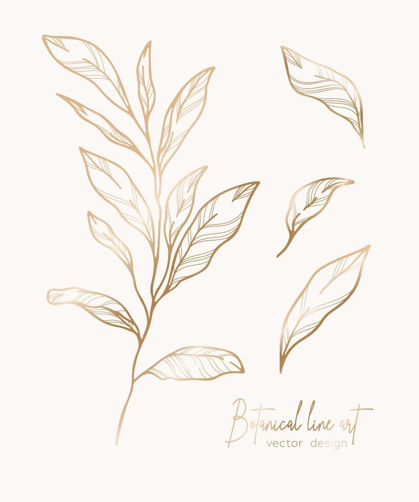 Botanical elegant golden line illustration of a leaves branch for wedding invitation and cards, logo design, web, social media and poster, template, advertisement, beauty and cosmetic industry. vector