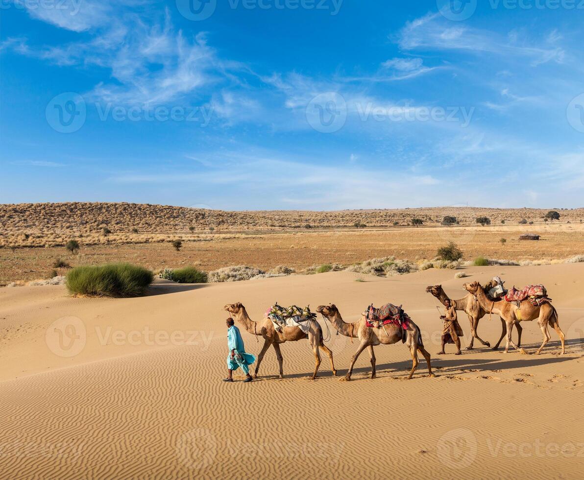 Two cameleers with camels in dunes of Thar deser photo