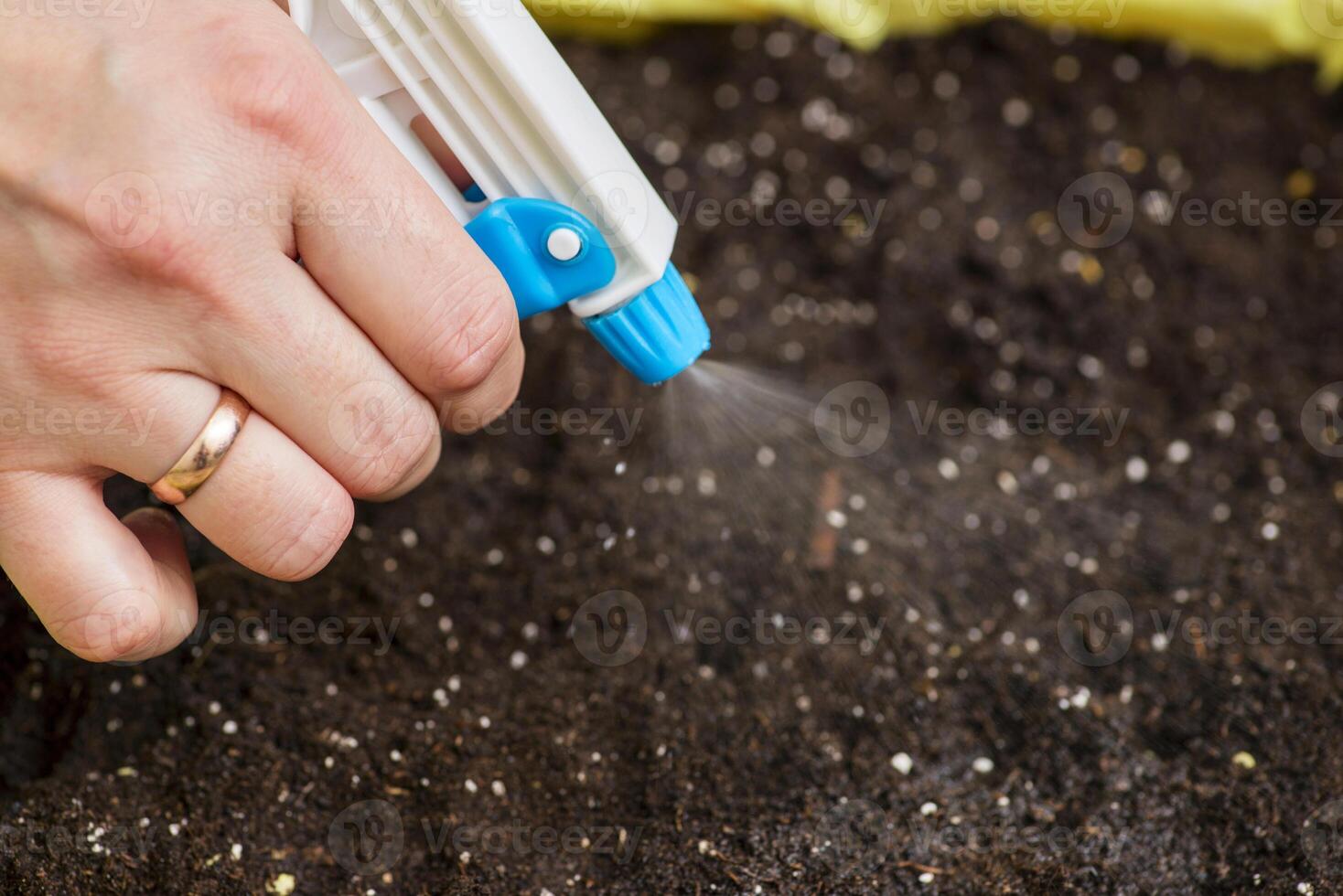 Close-Up of Hand Watering Soil with Sprayer photo