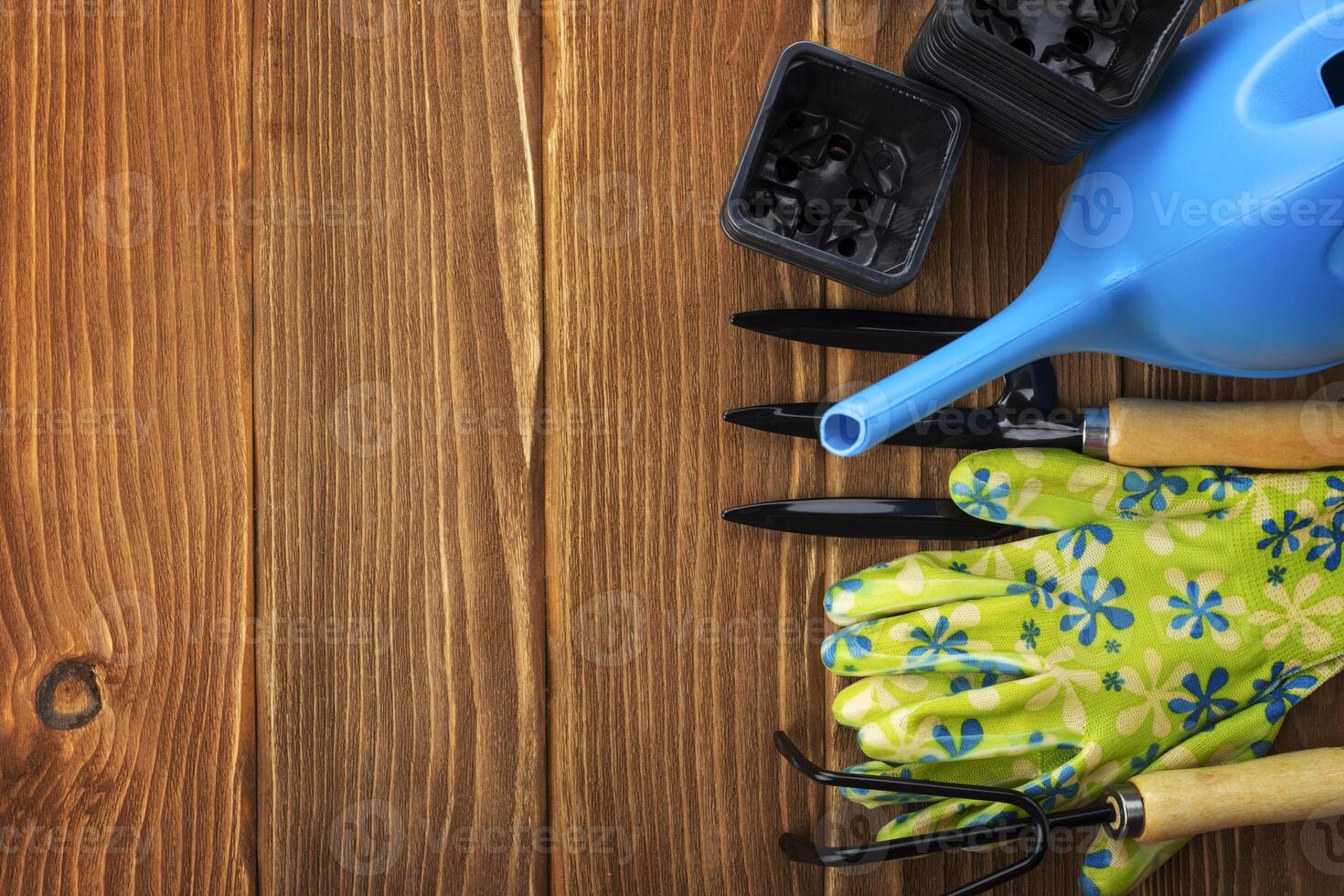 Garden tools on wooden background with space for text top view photo