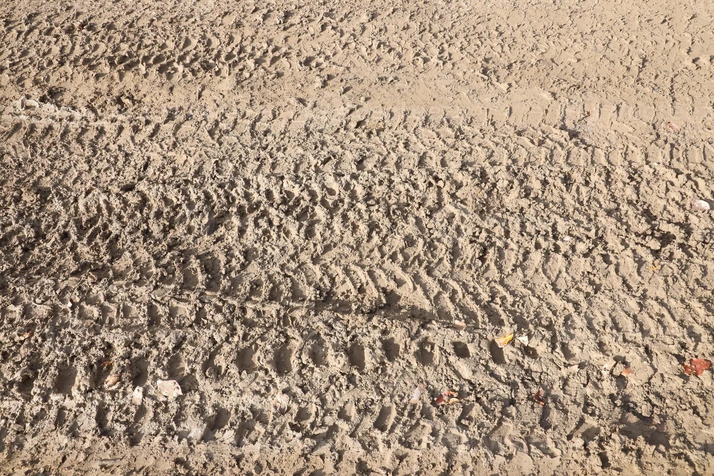 Wheel track on mud. Traces of a tractor or heavy off-road car on brown mud in wet meadow photo
