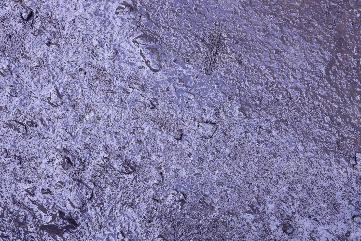Close up of muddy puddle with small stones on wet surface. Background texture with top view photo