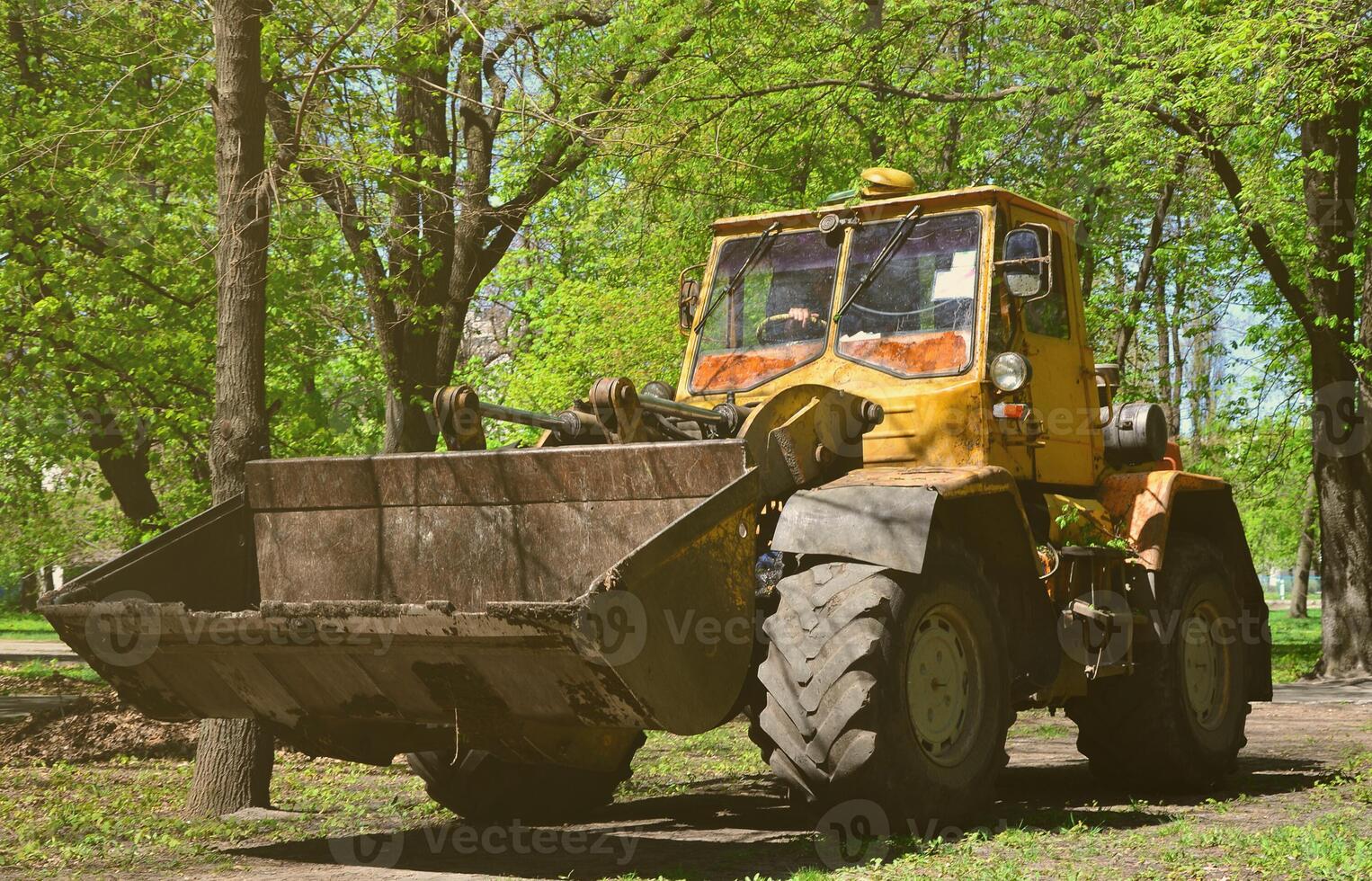 The city improvement team removes the fallen leaves in the park with an excavator and a truck. Regular seasonal work on improving the public places for recreation photo