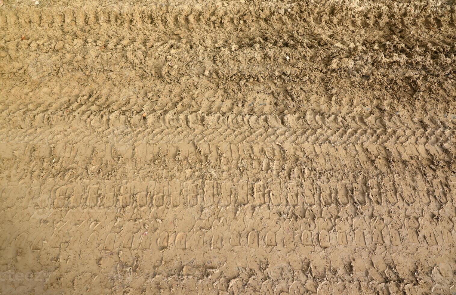 Wheel track on mud. Traces of a tractor or heavy off-road car on brown mud in wet meadow photo