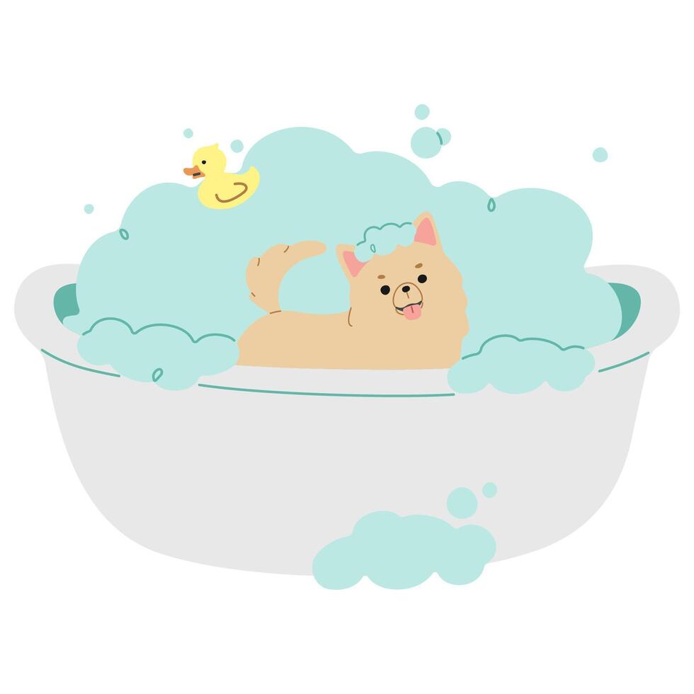 Pet Grooming Single 8 cute, vector illustration.