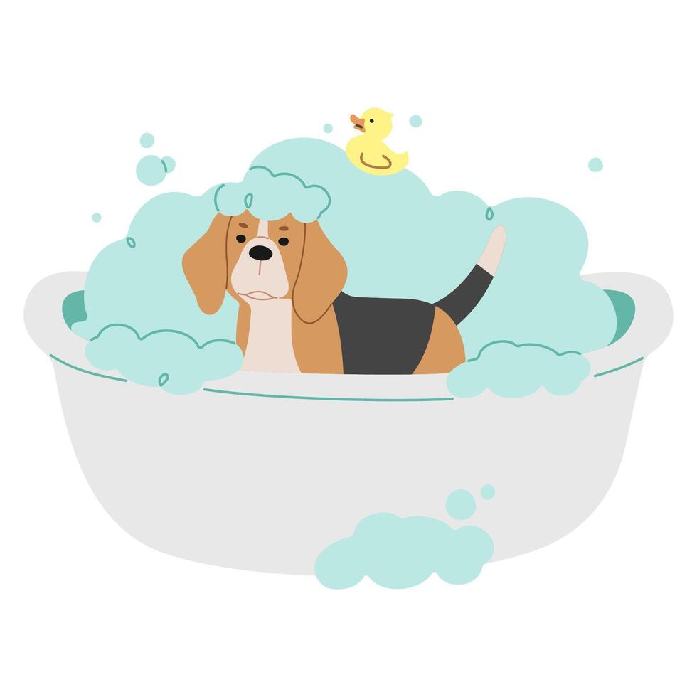 Pet Grooming Single 9 cute on a background, vector illustration.