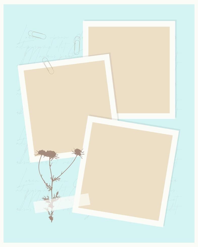 collage vintage de plantilla para libro de fotos, recordatorios, redes sociales, notas, lista de tareas pendientes. scrapbooking herbario manzanilla. vector