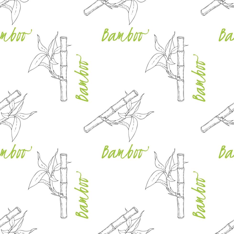 Pattern of Bamboo sticks and leaves on white background. vector