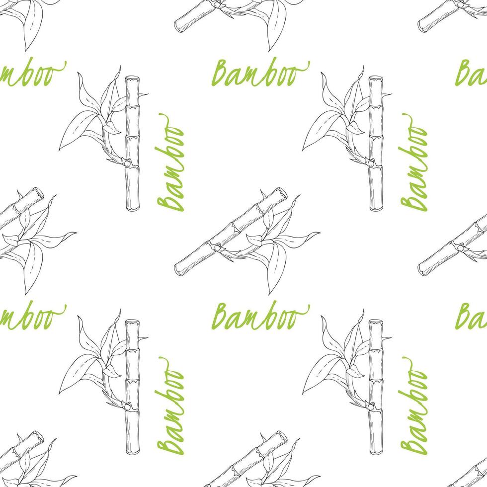 Pattern of Bamboo sticks and leaves on white background. vector