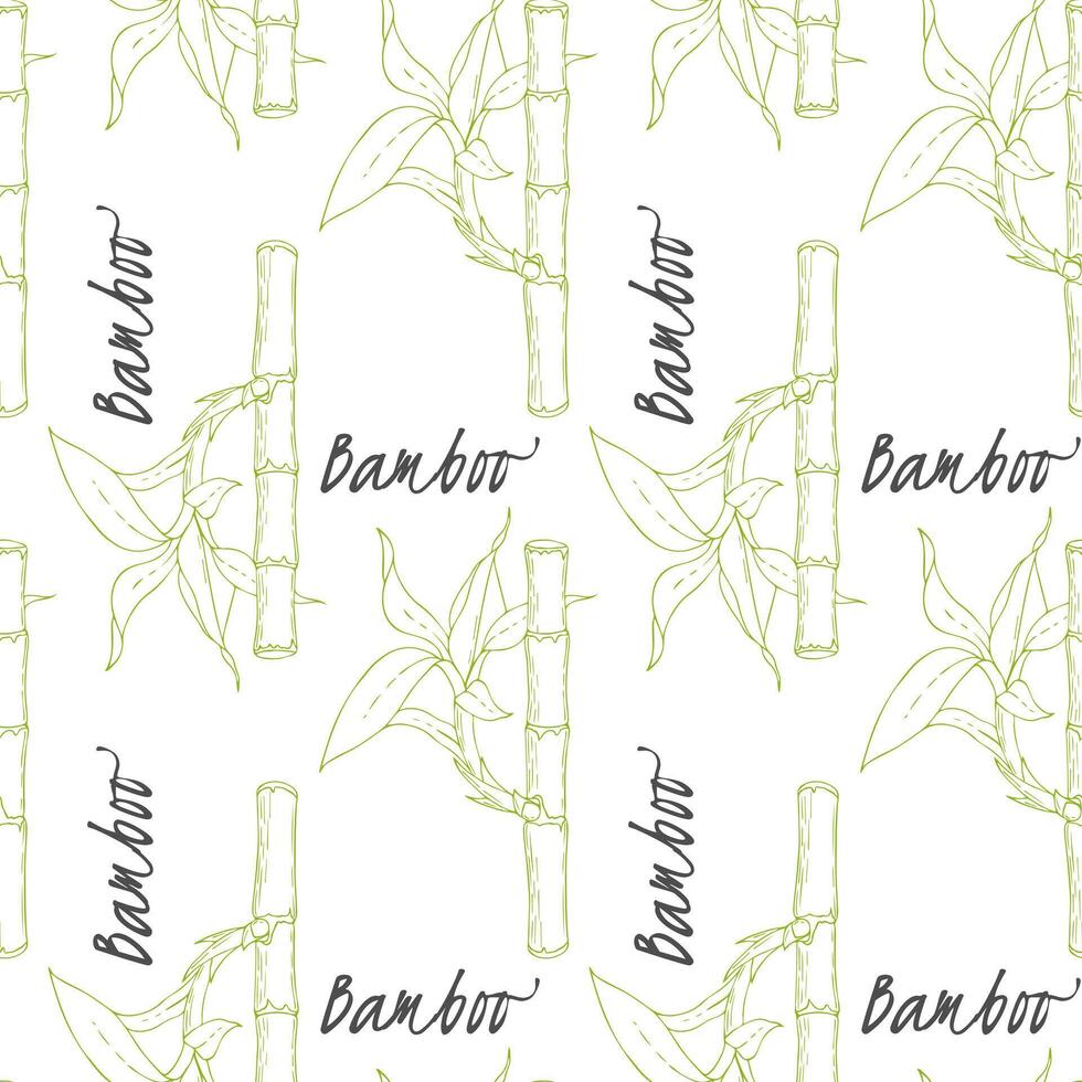 Pattern of Bamboo sticks and leaves on white background. vector