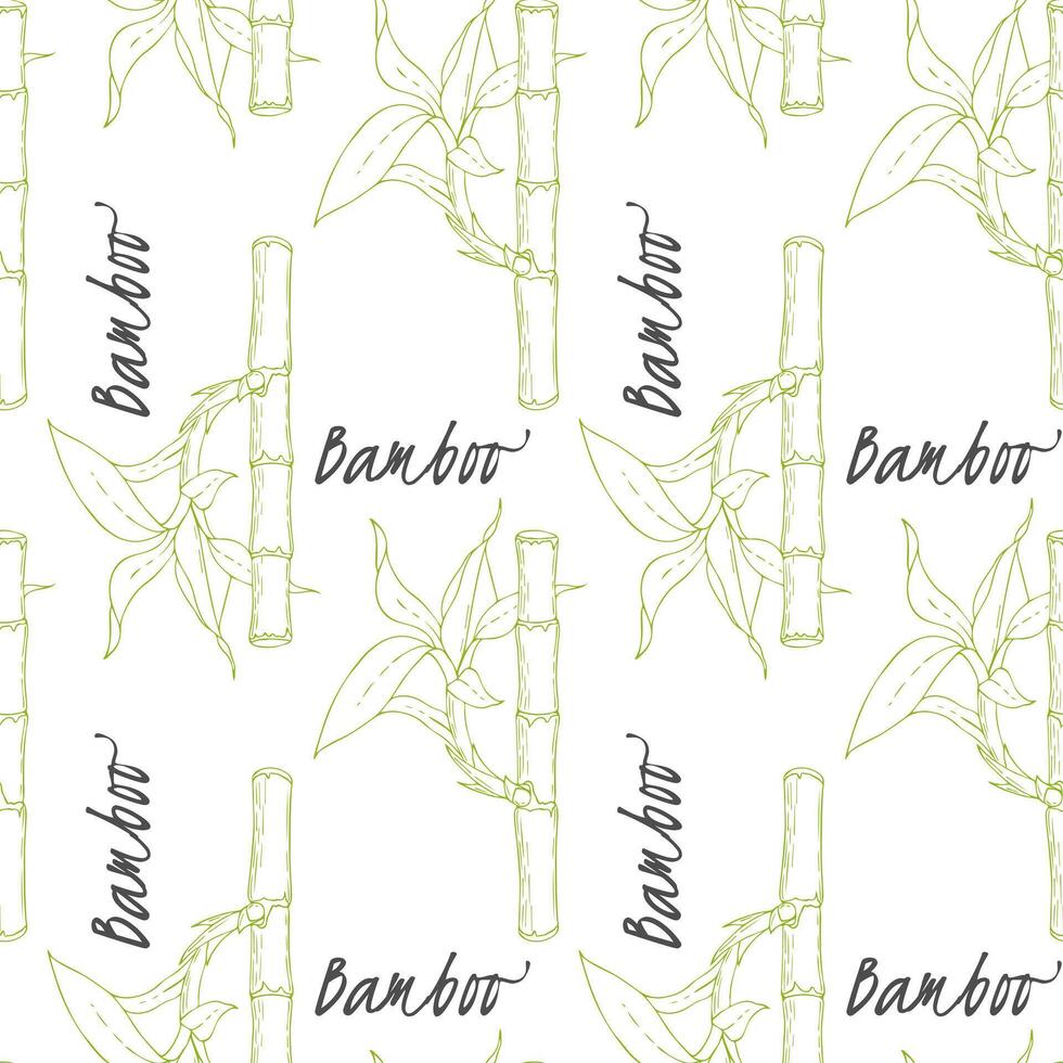 Pattern of Bamboo sticks and leaves on white background. vector