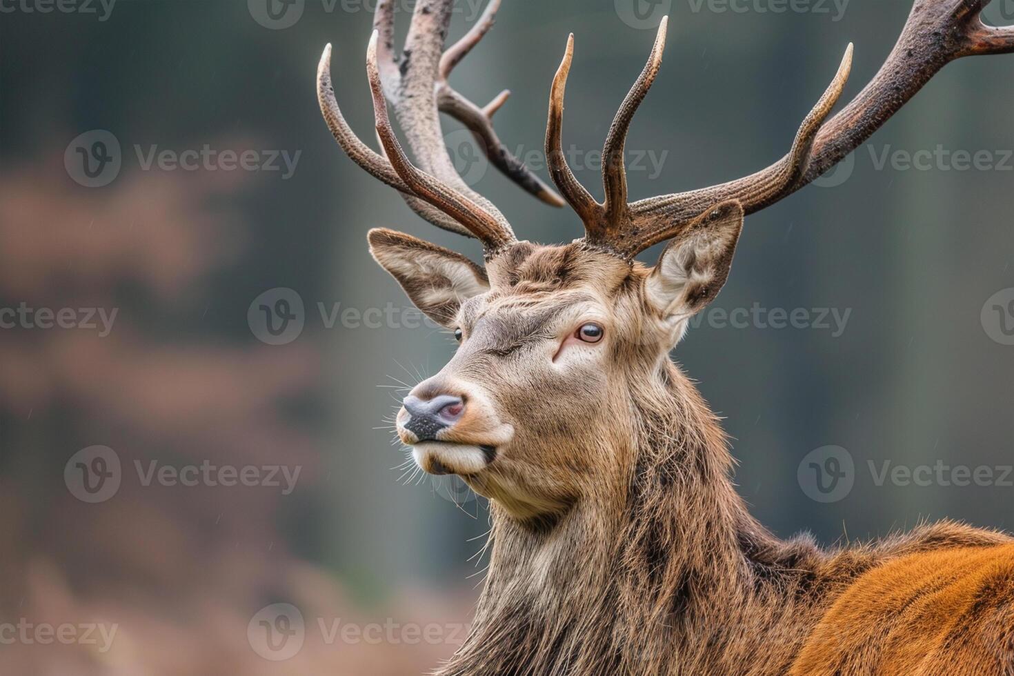 AI generated Red deer, adult male with large acid horns, World Wildlife Day photo