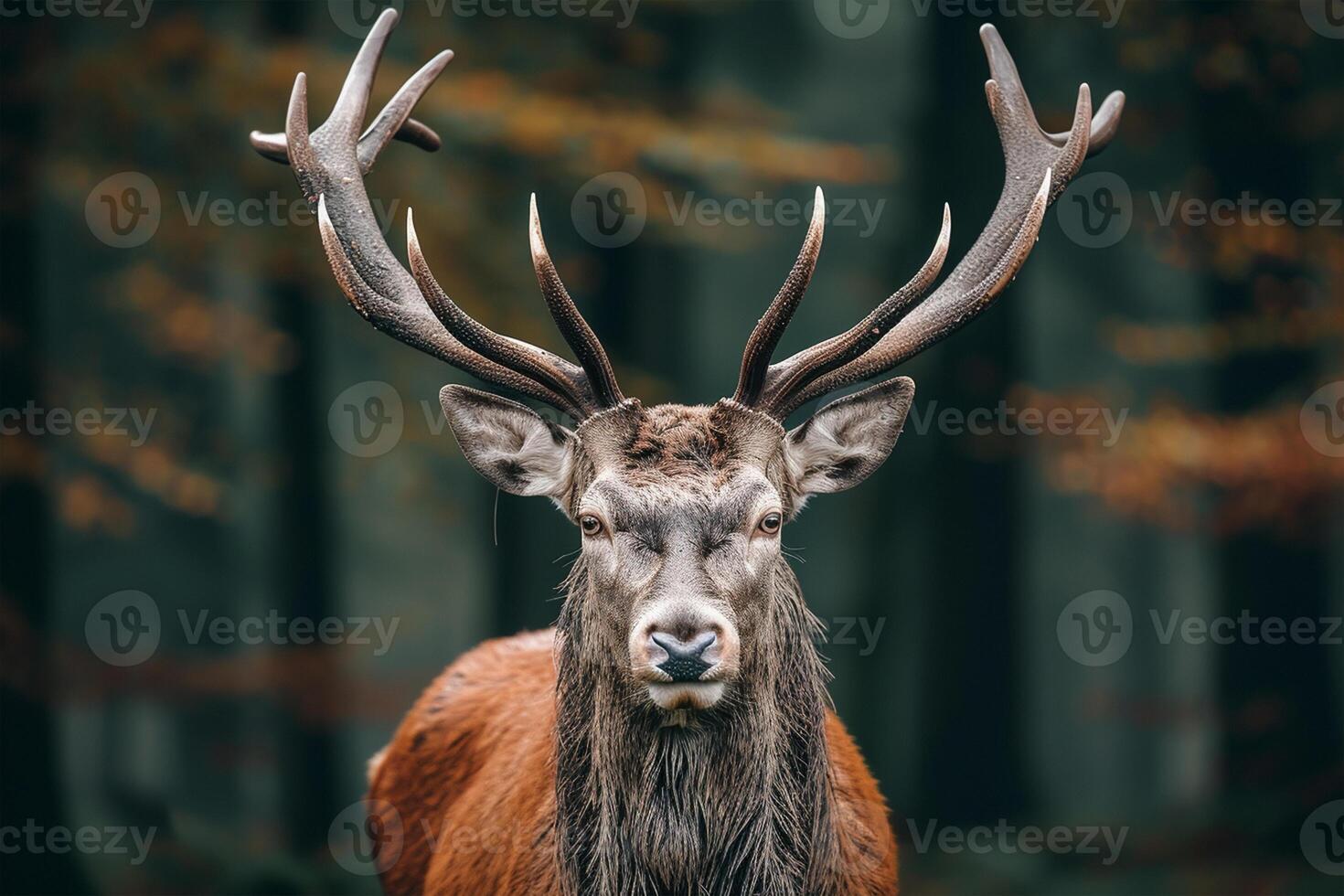 AI generated Red deer, adult male with large acid horns, World Wildlife Day photo