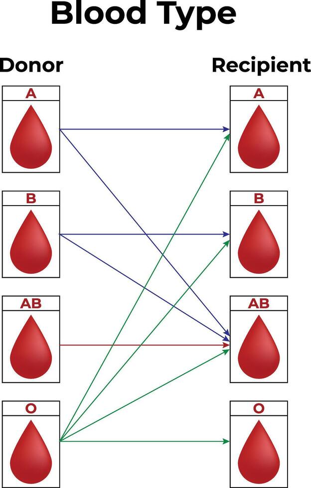 Blood Type Science Design Vector Illustration Diagram