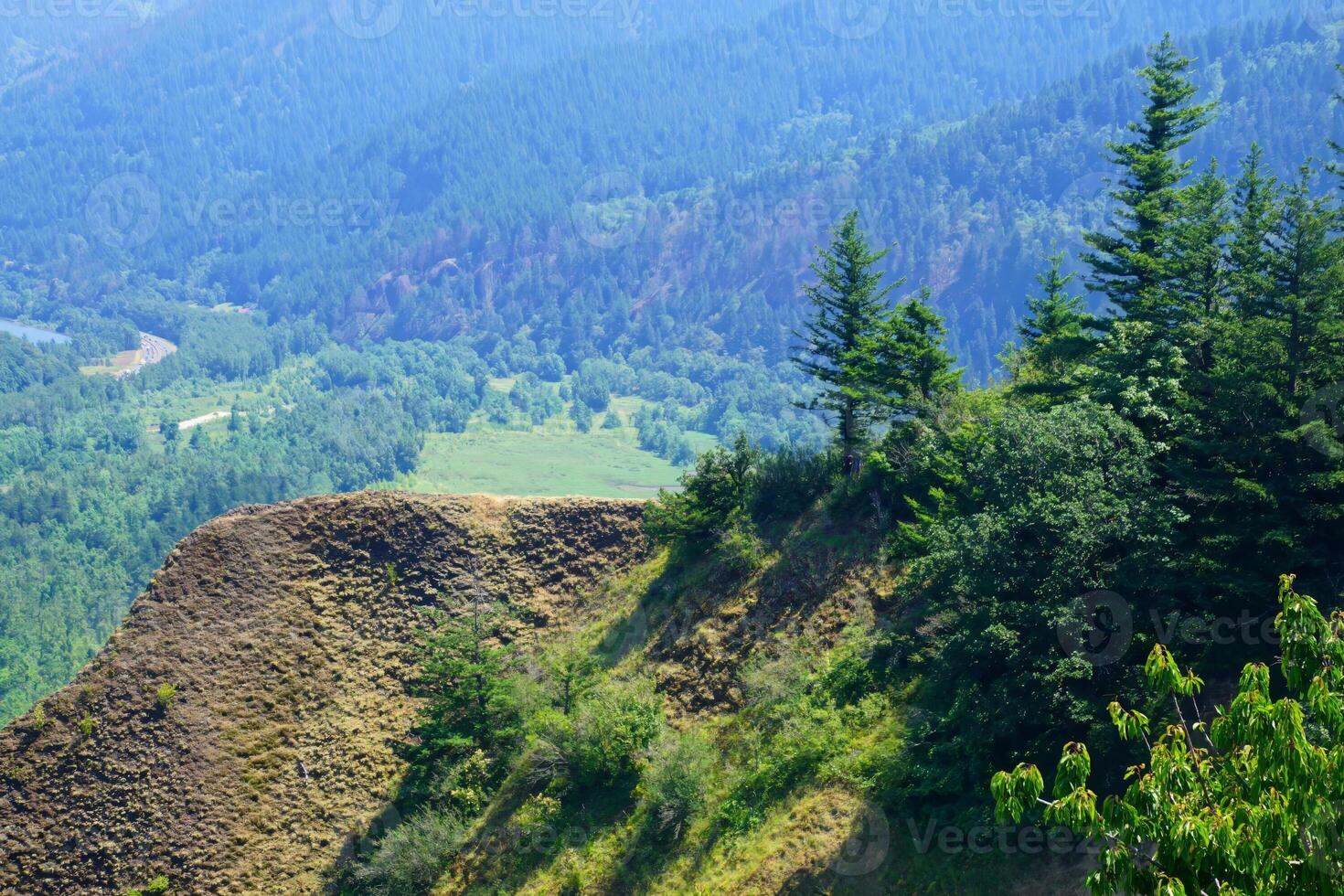 Forests cover the steep cliffs of the Columbia Gorge photo