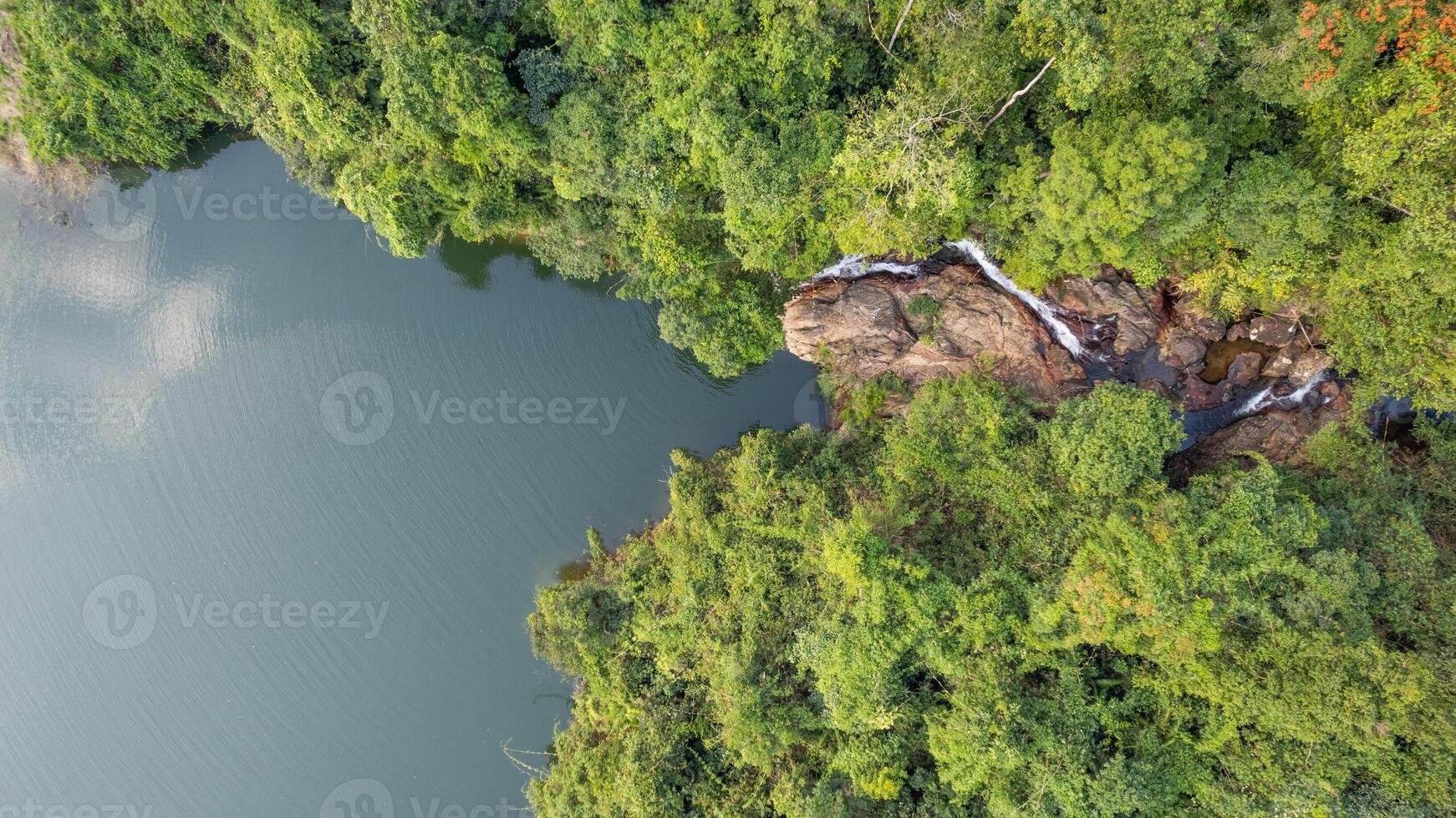 aéreo cascada oasis en verde bosque foto