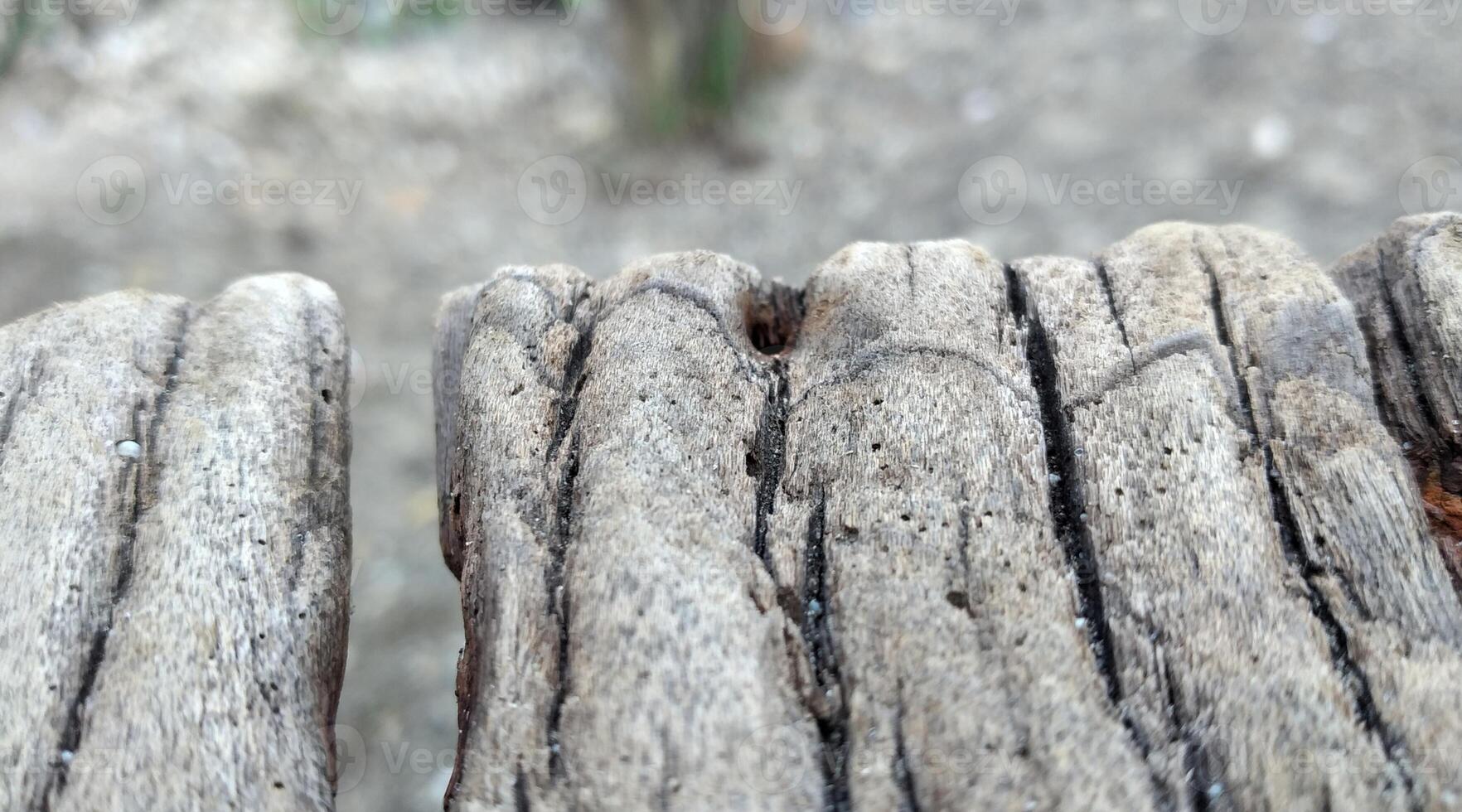 Close up of old wood texture background for interior exterior decoration and industrial construction concept design. photo