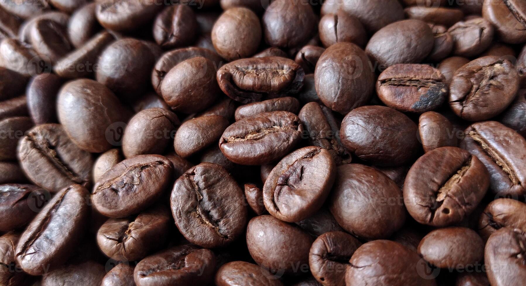 Coffee beans background. Close up of roasted coffee beans. photo