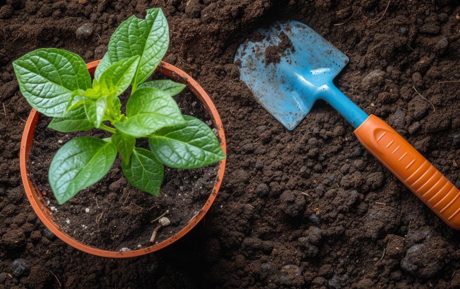 AI generated Gardening tools on the ground photo