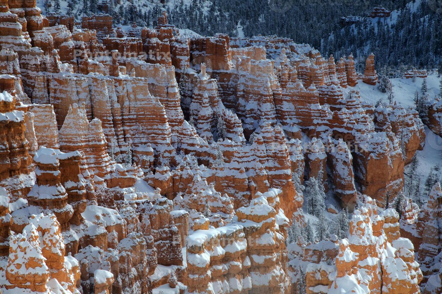 Bryce Canyon NP Winter photo