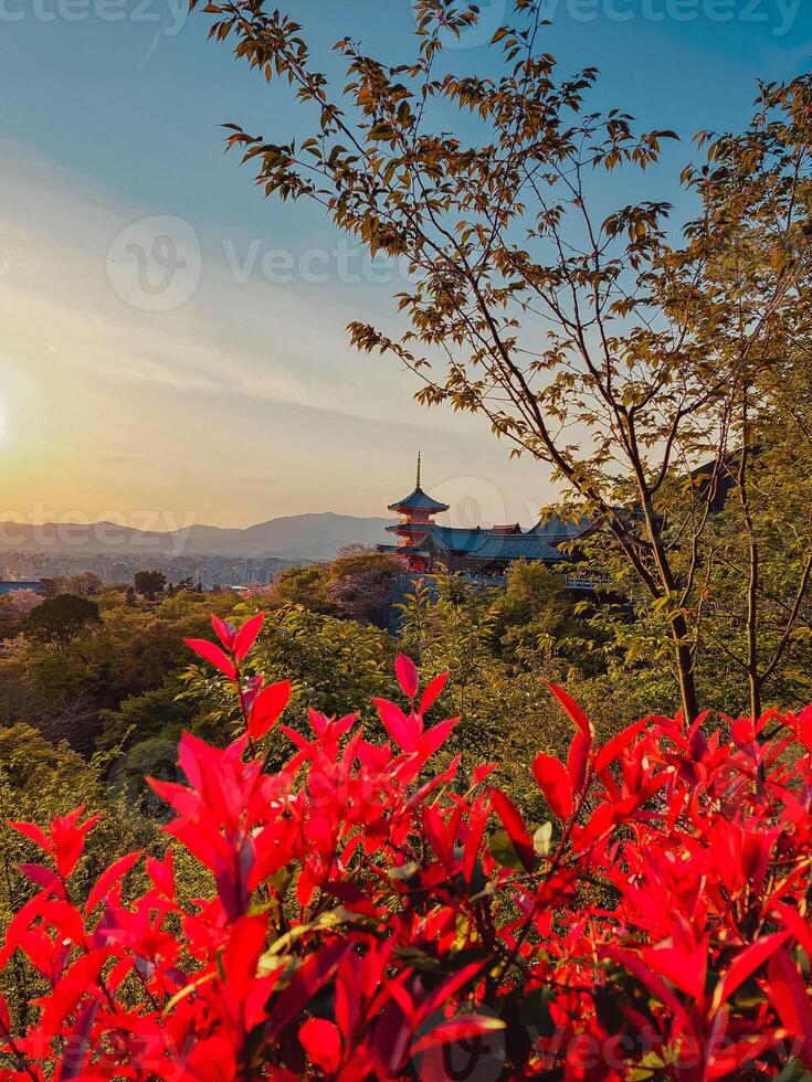 Red Flowers In The Foreground with Red Pagoda View photo