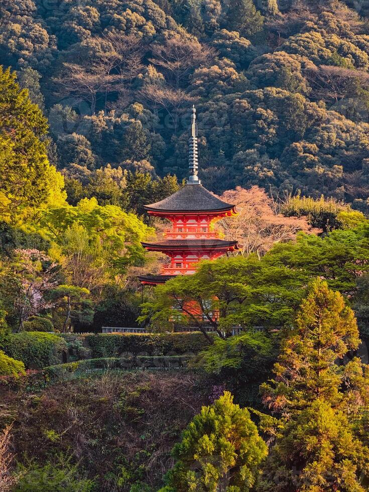 naturaleza rodeando un tradicional arquitectura en Japón foto