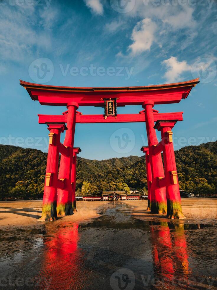 Torii Gates Near The Water In Japan photo