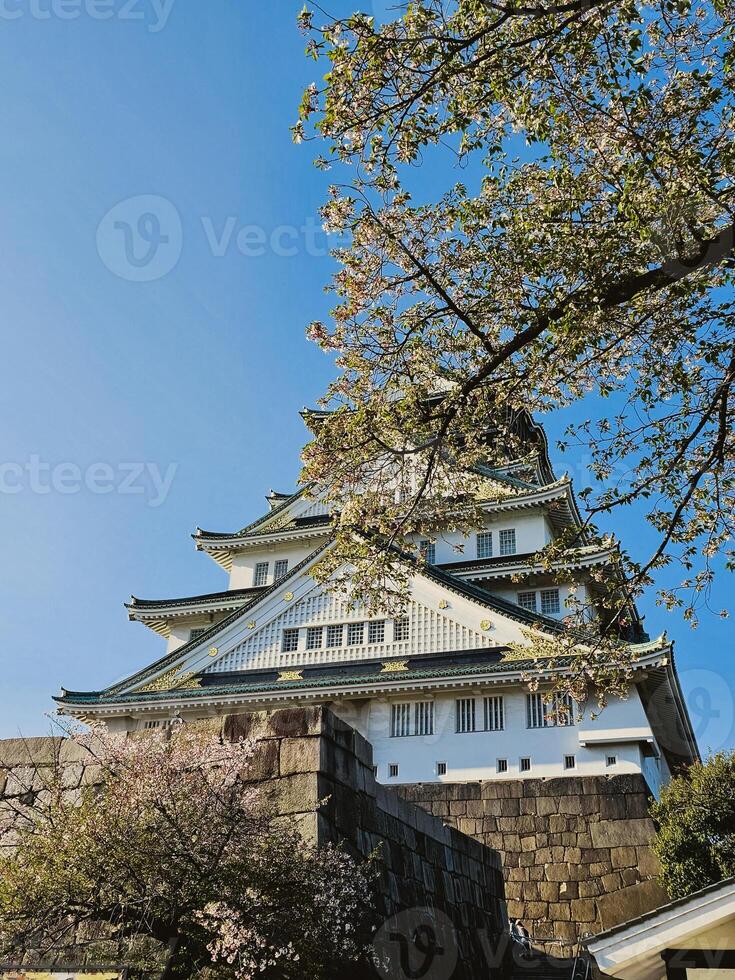Trees In Front Of An Old White Pagoda photo