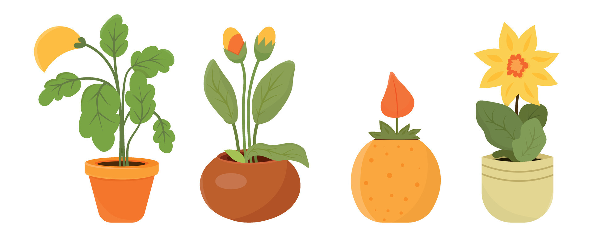A set of home plants in a pot. Plants for the garden in a pot. Seedlings for planting in the ground. Ready flowers for gardening. Vector illustration 40987797 Vector Art at Vecteezy