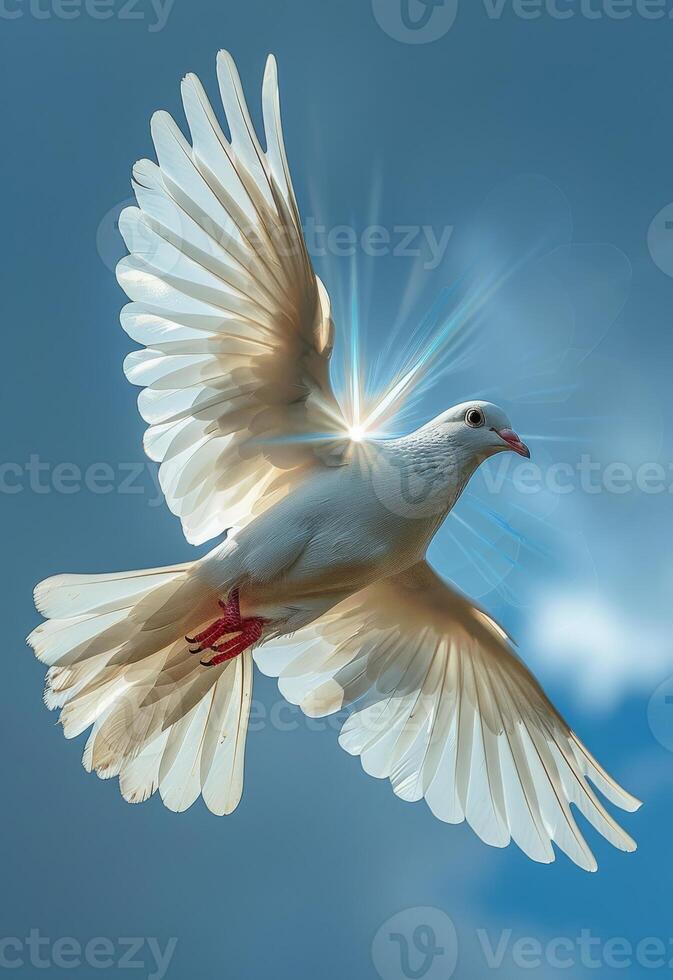 ai generado gratis volador blanco paloma aislado en azul cielo antecedentes foto