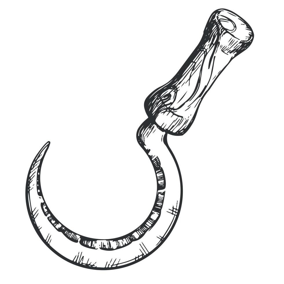Linear ink drawing of sickle icon. Vector sickle for cutting herb harvest in vintage engraving technique isolated on white background. An ancient rural instrument.
