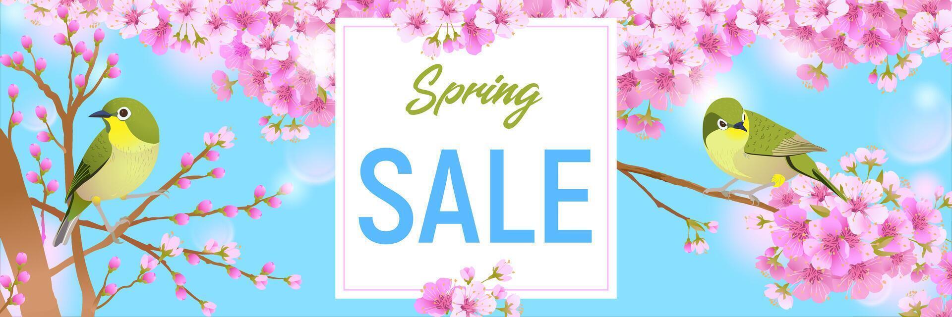 Spring Sale Background with cherry blossoms and nightingales. Cherry blossoms and birds on the sky background. Vector illustration for sale, Advertising, Promotion, Poster, Social media, Marketing.